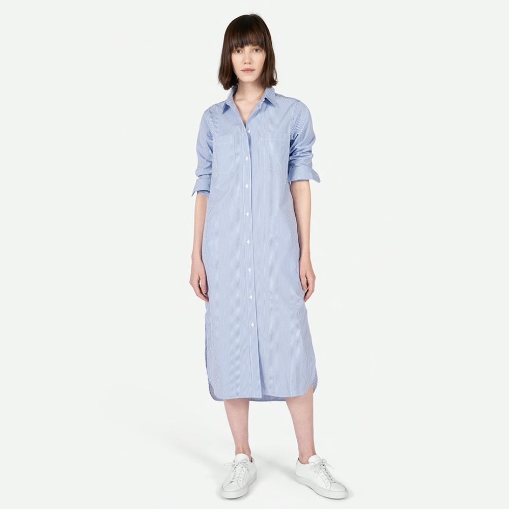 Everlane Blue and White Midi Dress for Effortless Elegance